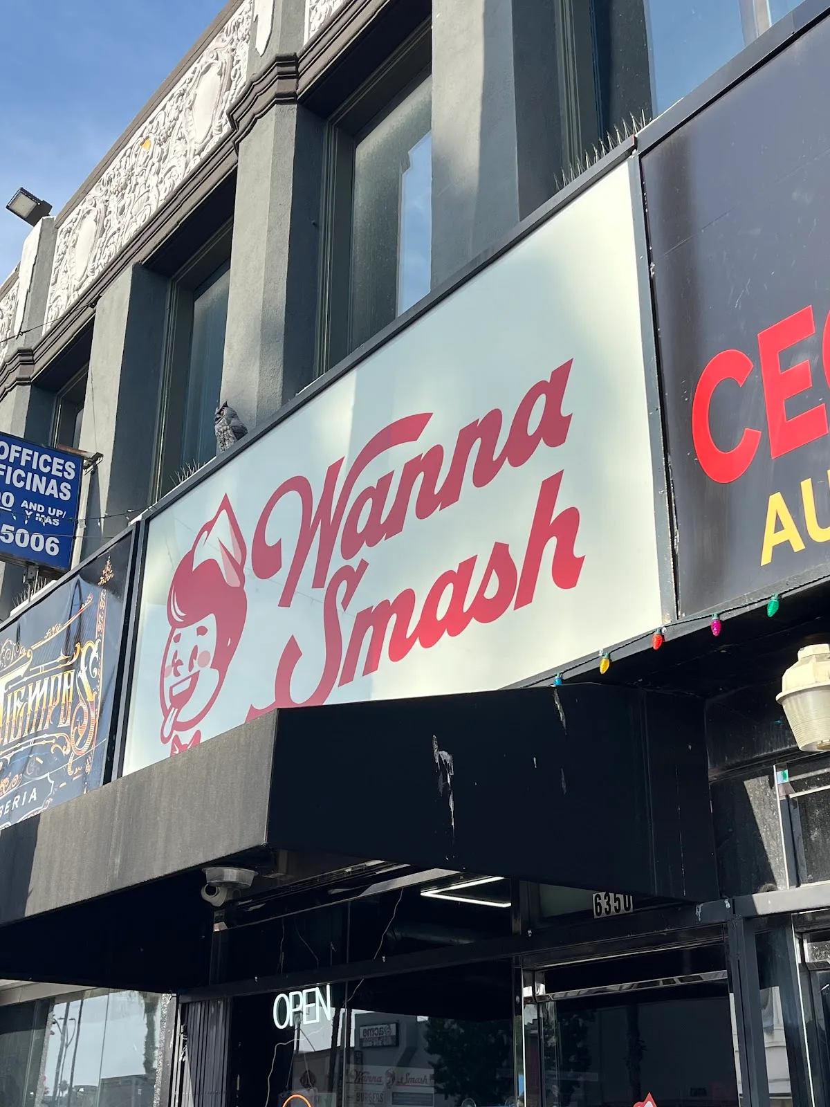 Wanna Smash
