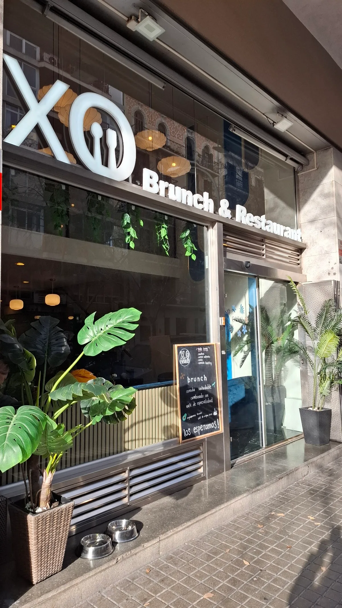 X.O. Lounge Brunch