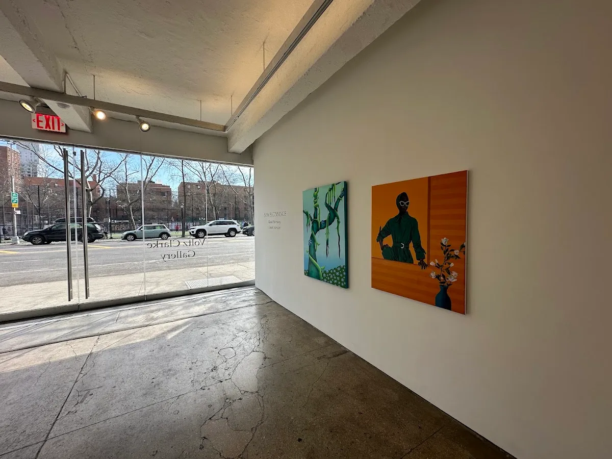 Voltz Clarke Gallery