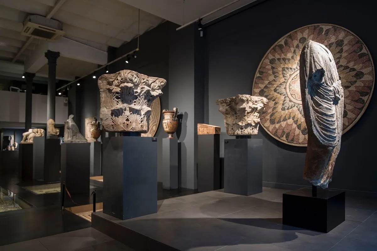 Galeria F.Cervera - Arqueologia Clàssica, S.L. - Ancient Art