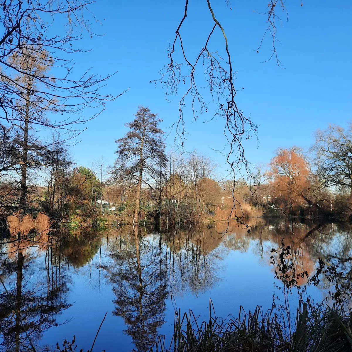 Sunray Gardens