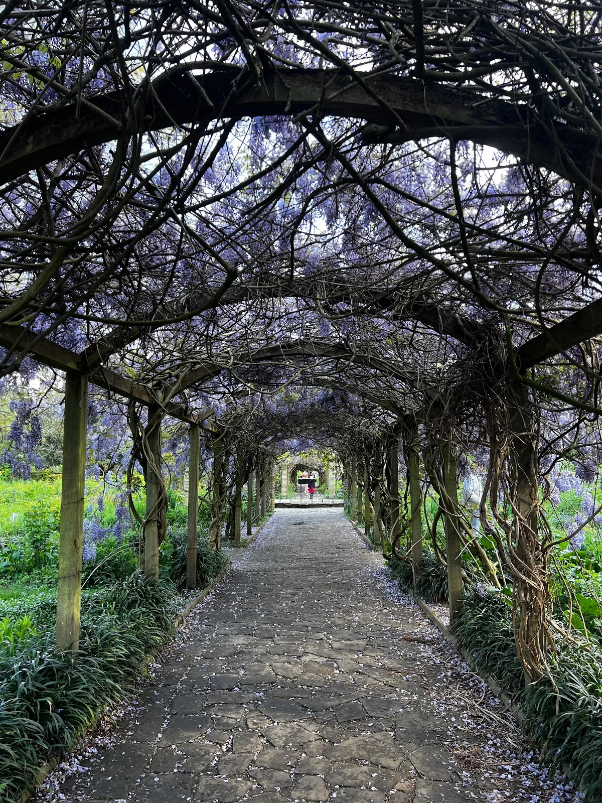 The Sexby Garden