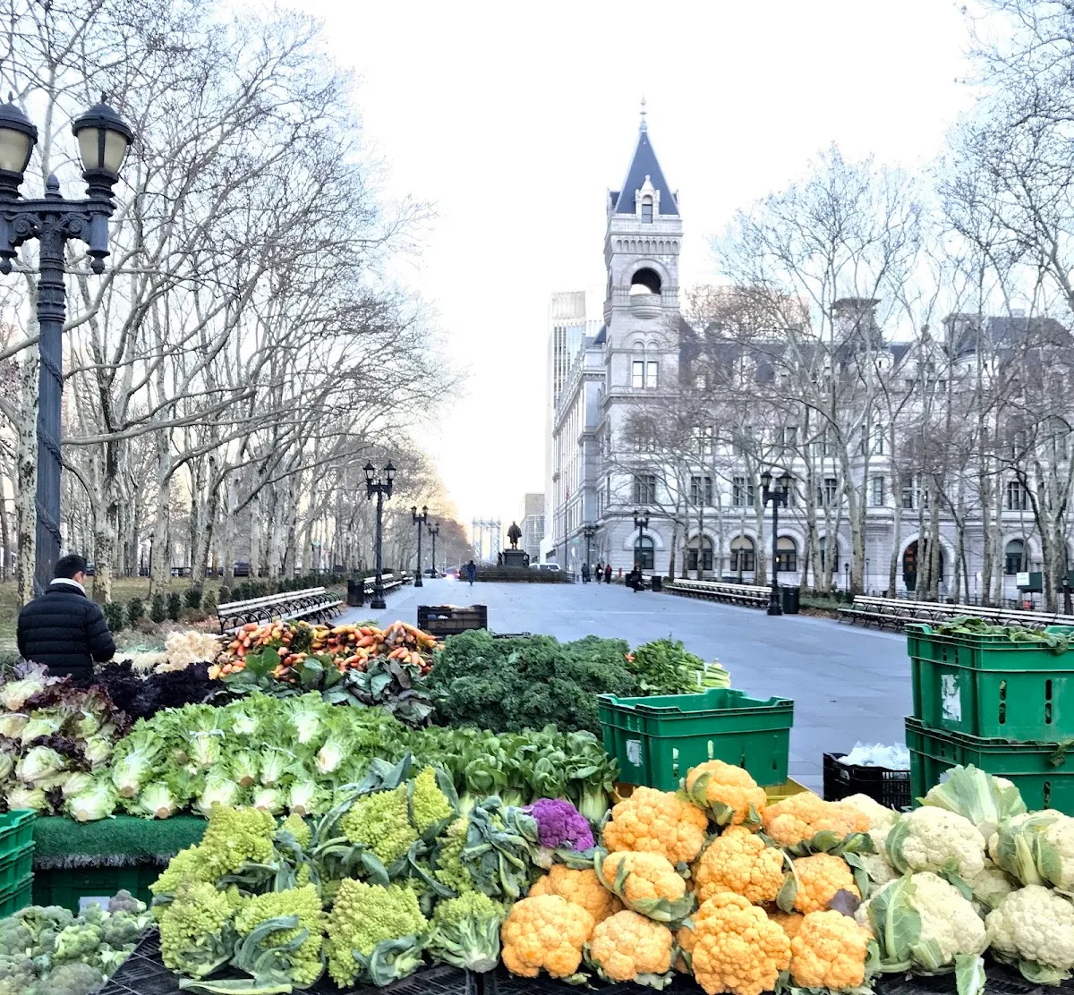 Brooklyn Borough Hall Greenmarket