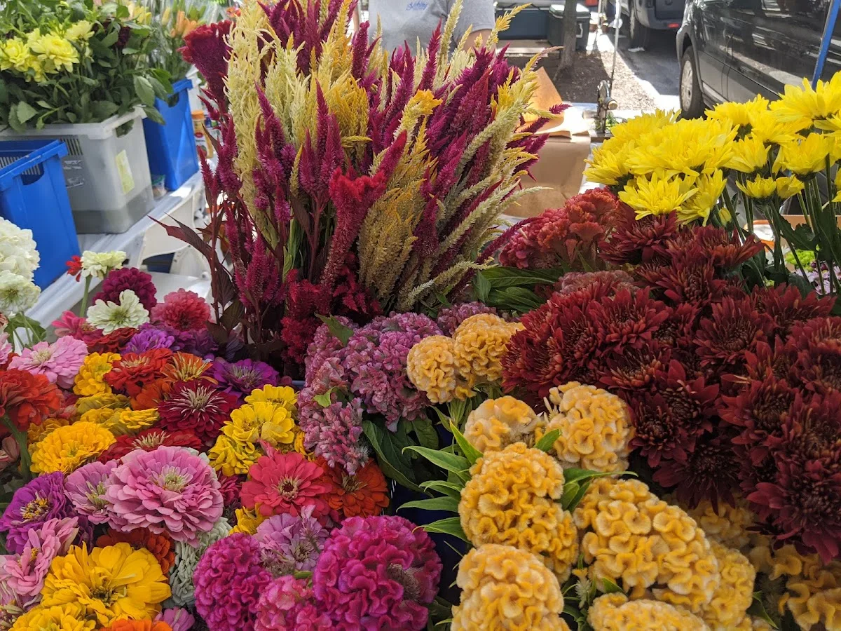 Ruppert Park Greenmarket (formerly 92nd Street Greenmarket)