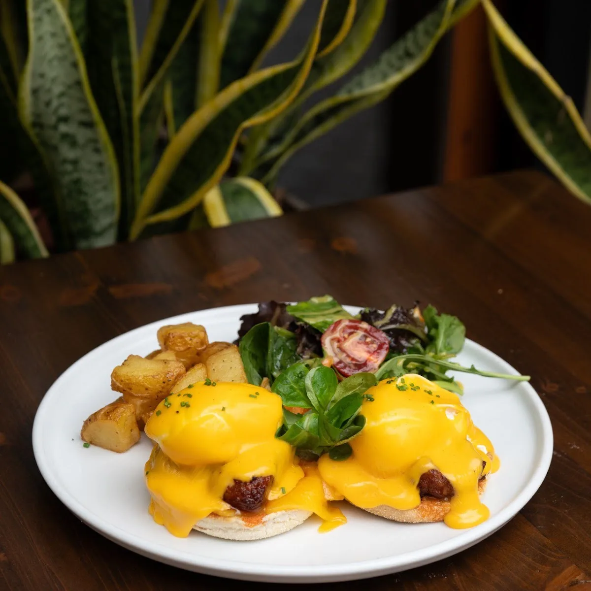 Belliny Brunch