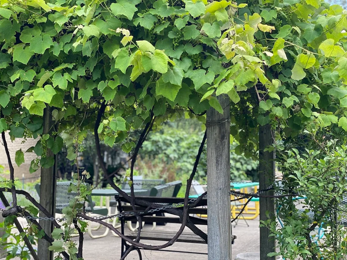 Union Street Garden and Community Development