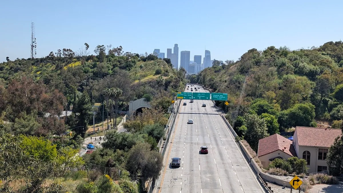 Elysian Park, Buena Vista Meadow