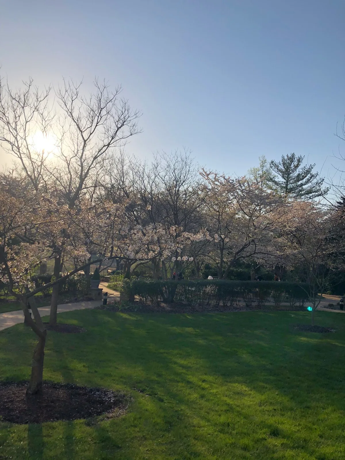 Mary's Garden