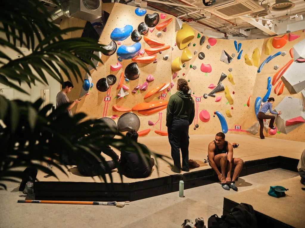 The Font Climbing - Borough