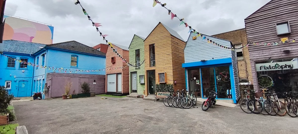 Blue House Yard