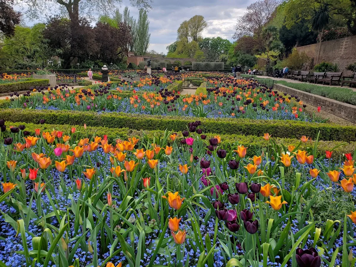Dutch Garden