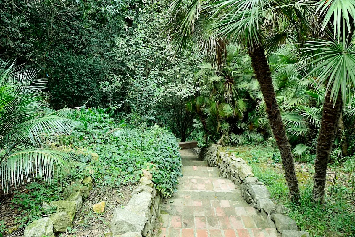Jardi Botanic Historic