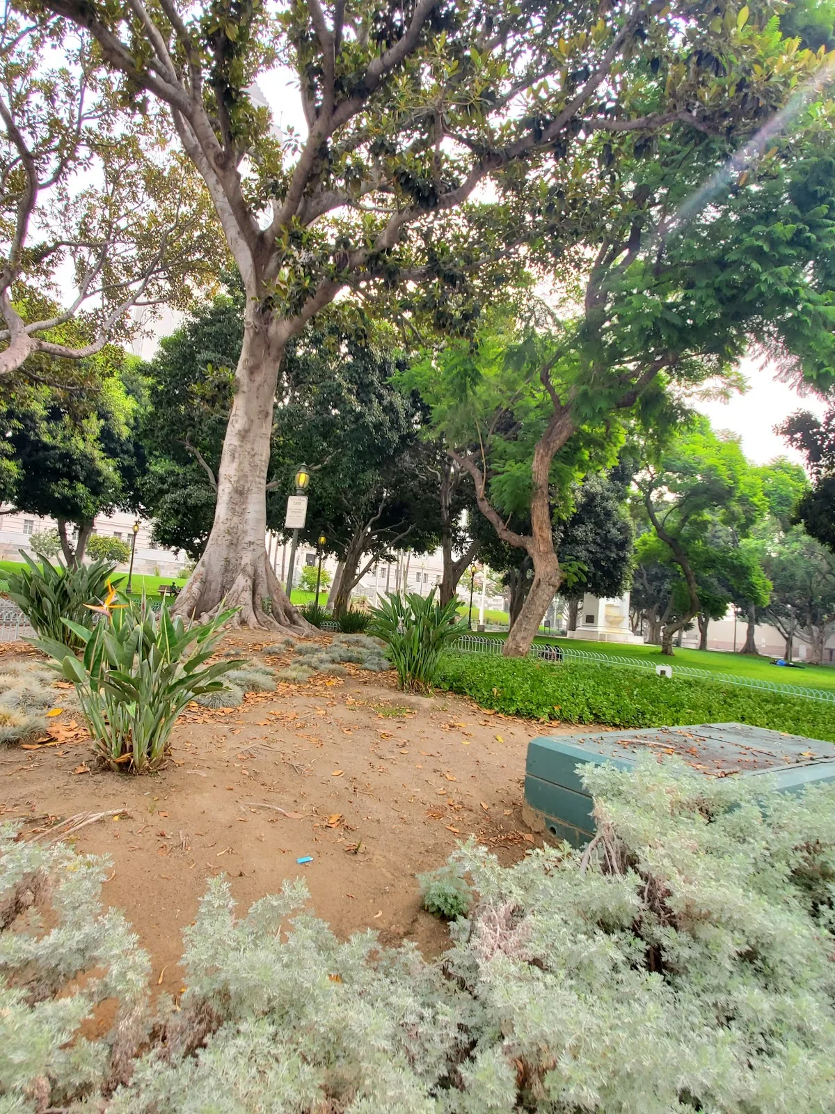 Circle Park