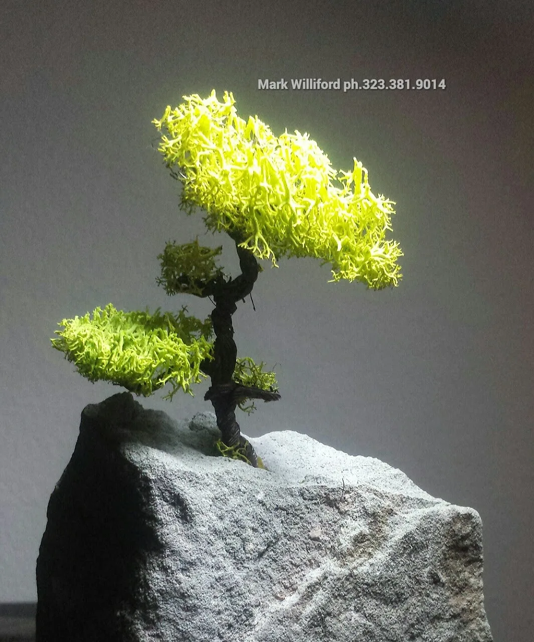 Zen Gallery