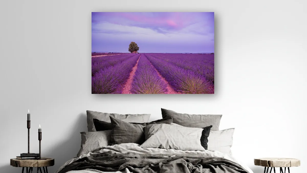 Rani Bruchstein Photography and Art