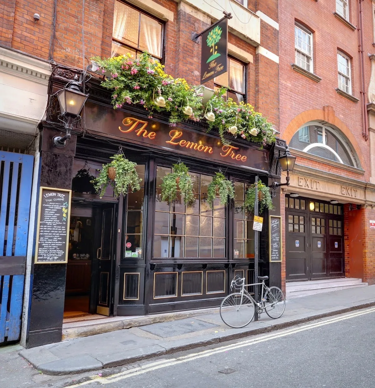 The Lemon Tree