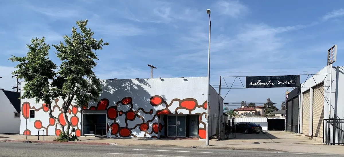 Walter Maciel Gallery