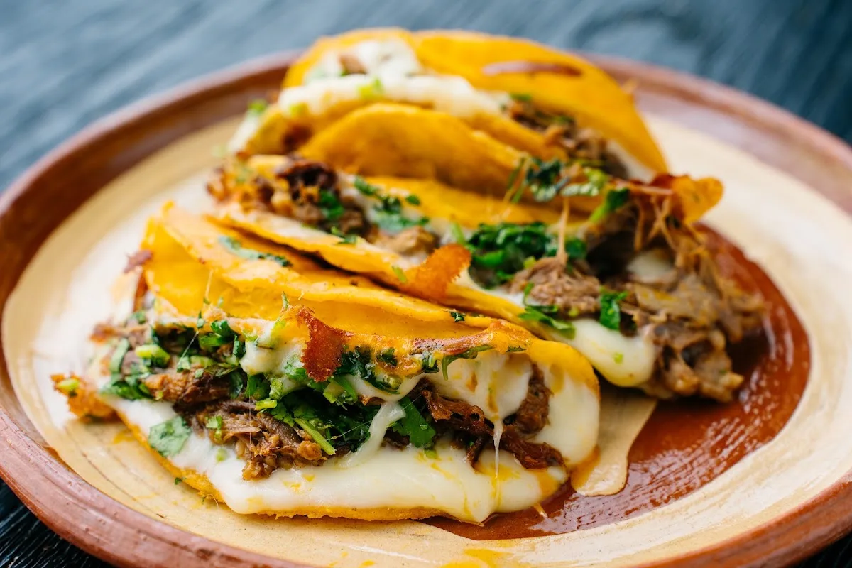 birria don pancho
