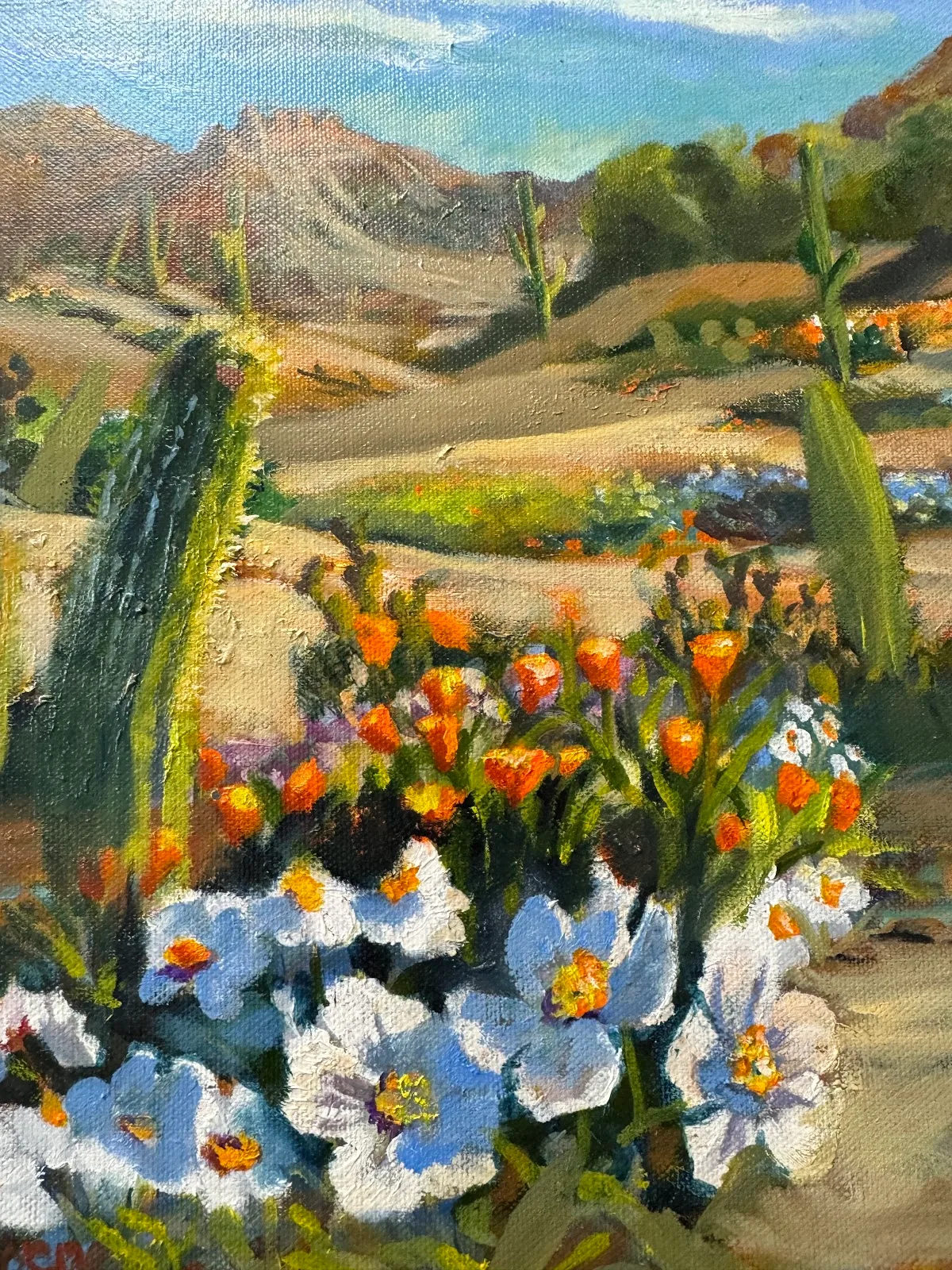 Gallery of Hermosa