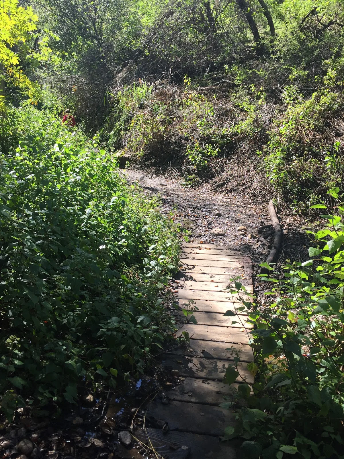 Dixie Canyon Park
