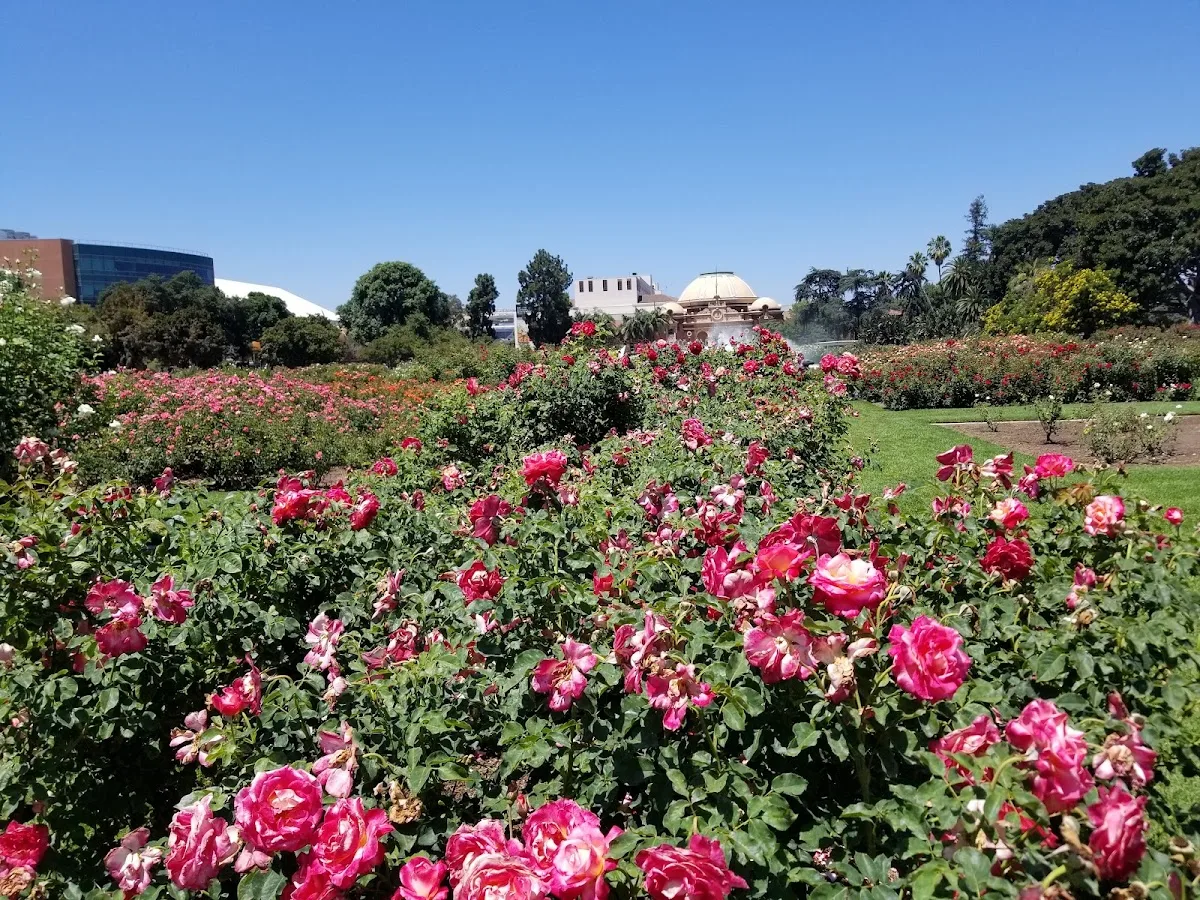 Exposition Park