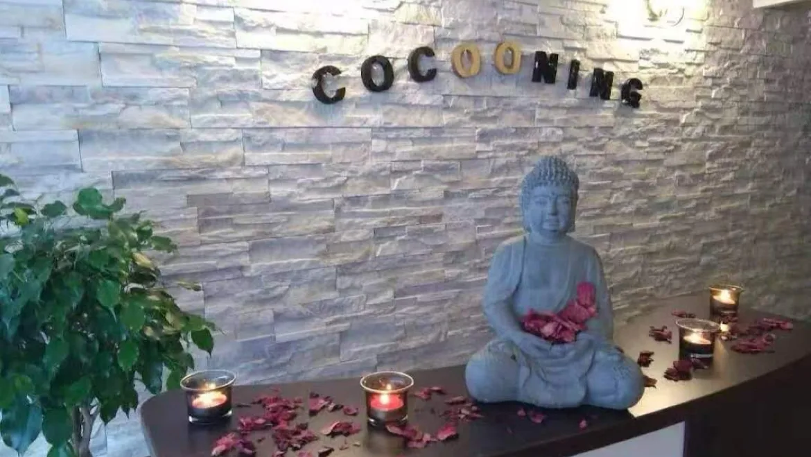 Cocooning SPA Massage Tui Na 75017