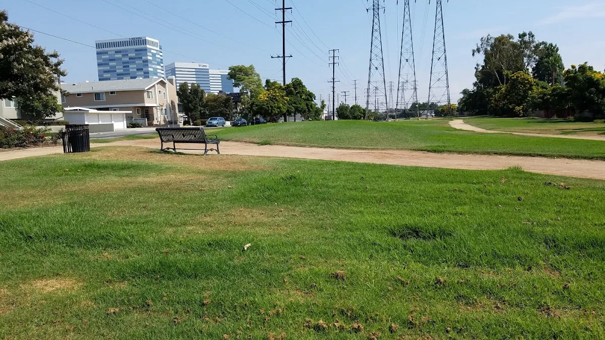 Freedom Park