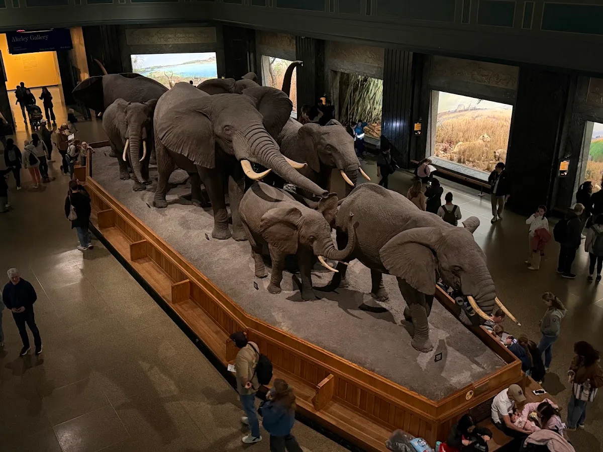 Theodore Roosevelt Memorial Hall