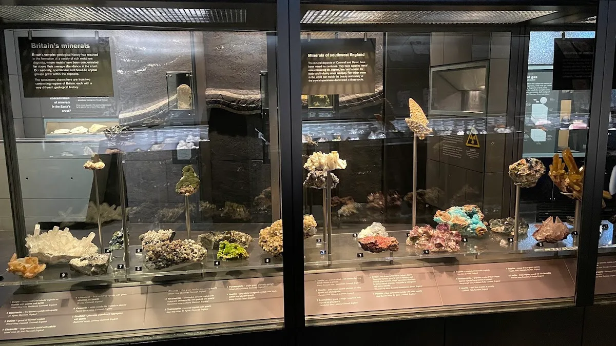 Natural History Museum