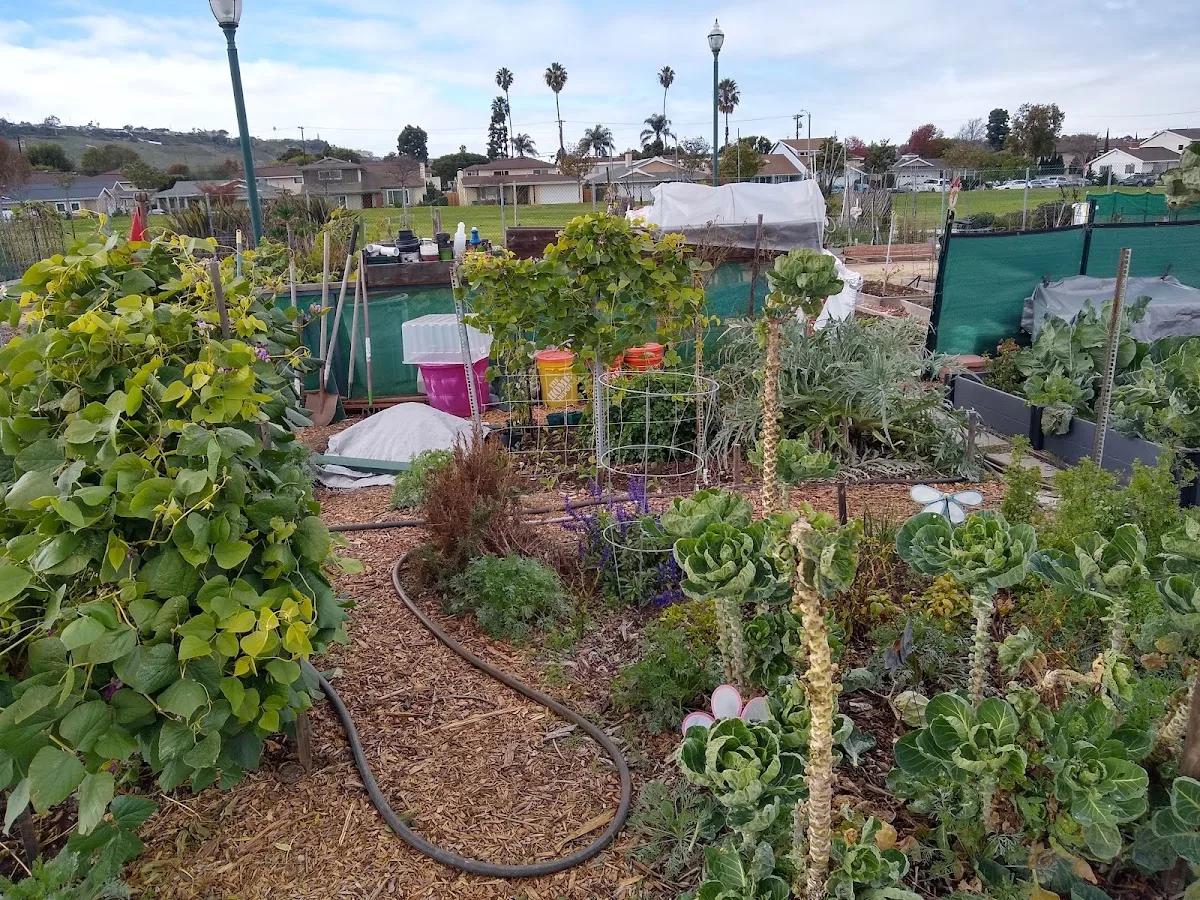 Torrance Community Garden