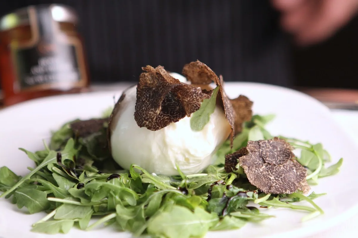 Oak Tuscan Truffle Lounge