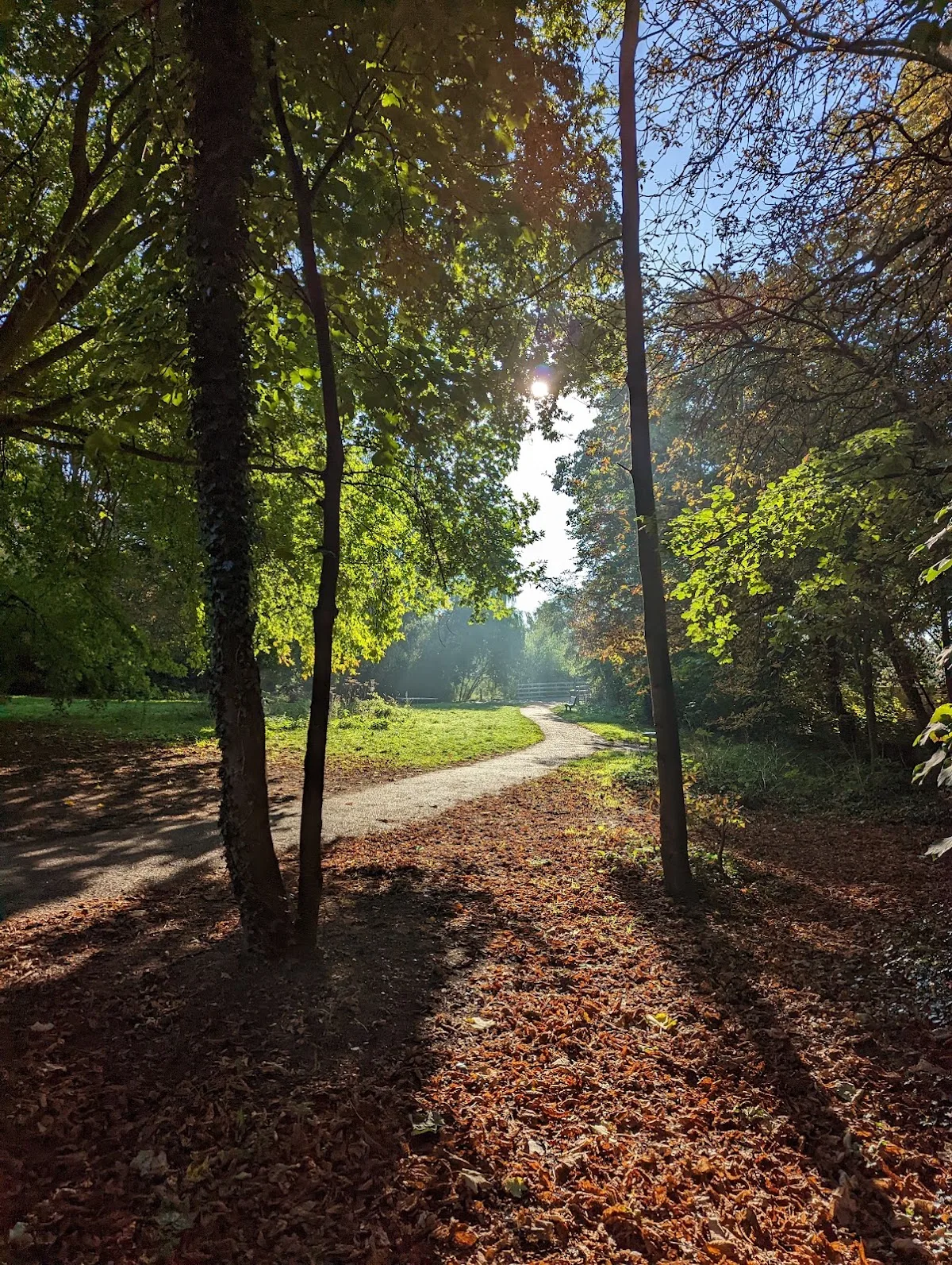 Manor Park