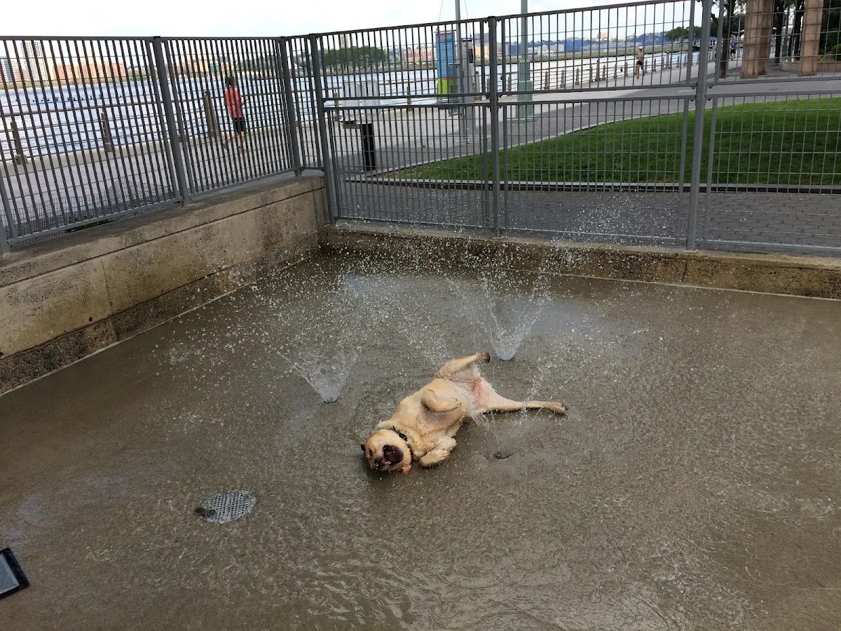 Leroy Dog Run