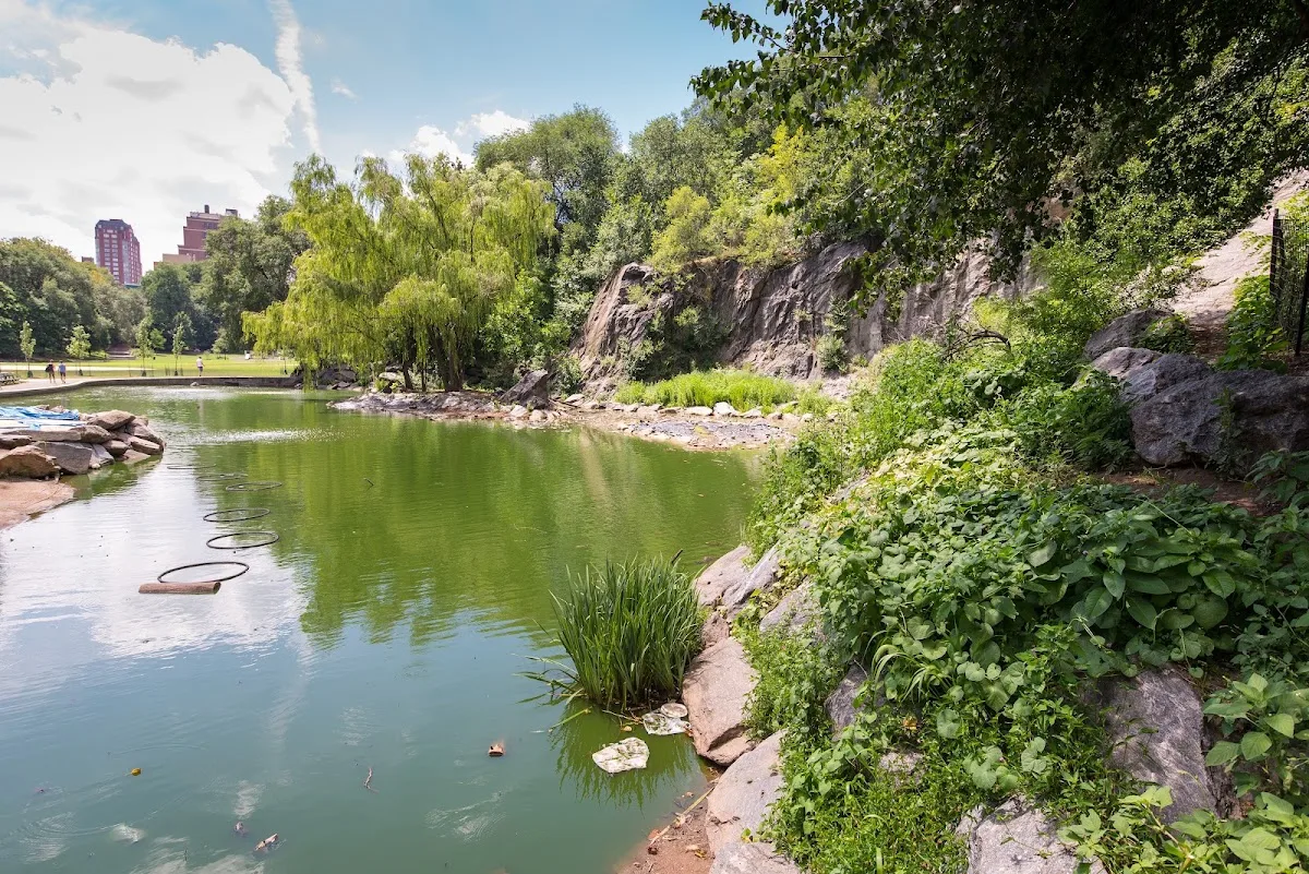 Friends of Morningside Park