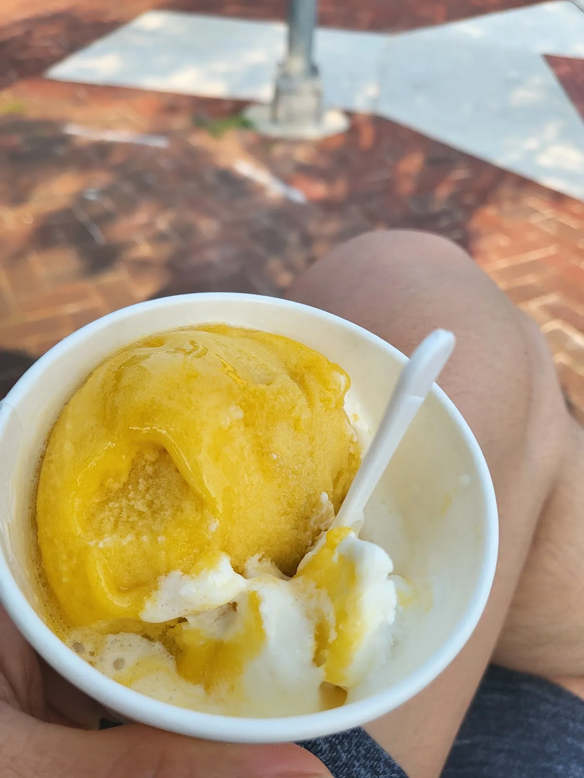 Gusto Gelateria