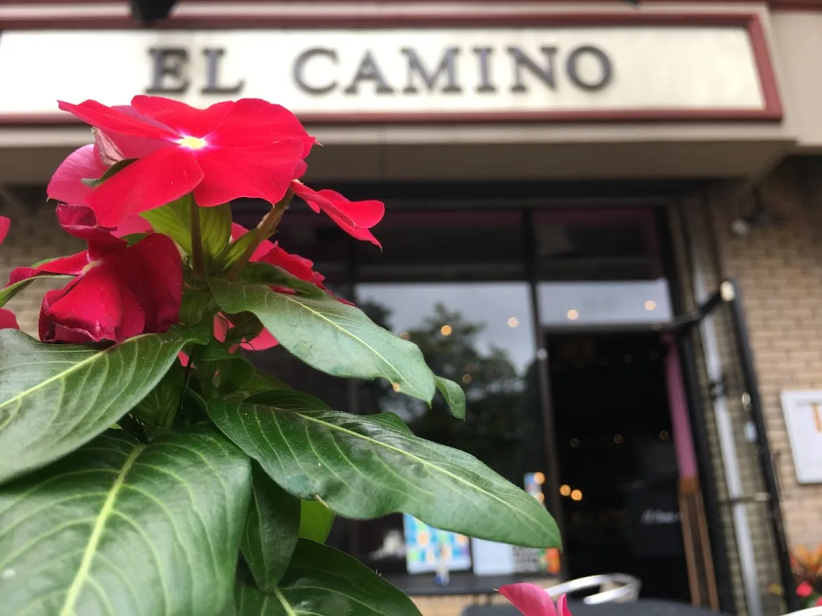 El Camino 🇲🇽