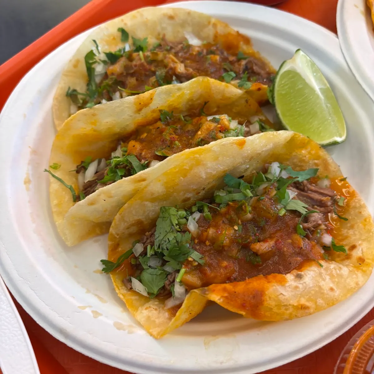 Birria Landia