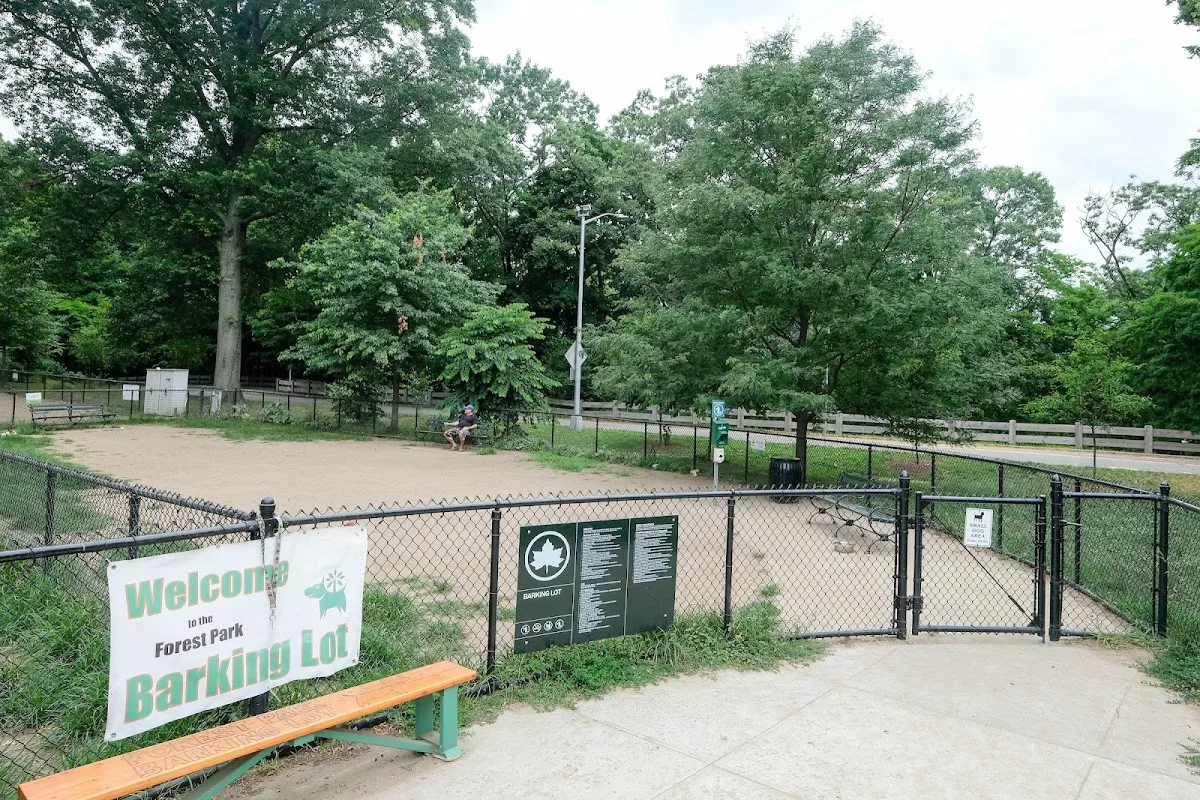 Forest Park Barking Lot
