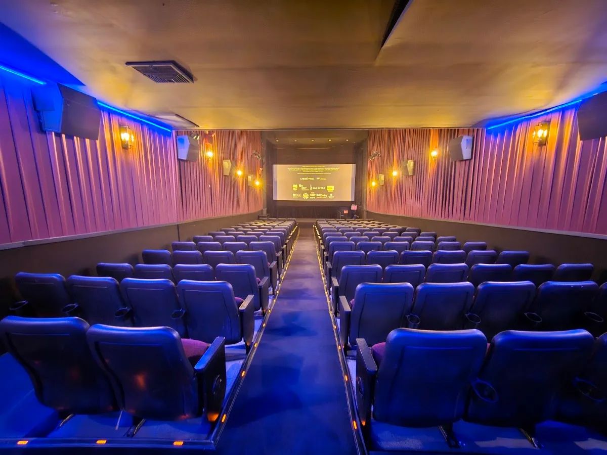 Cinema Village