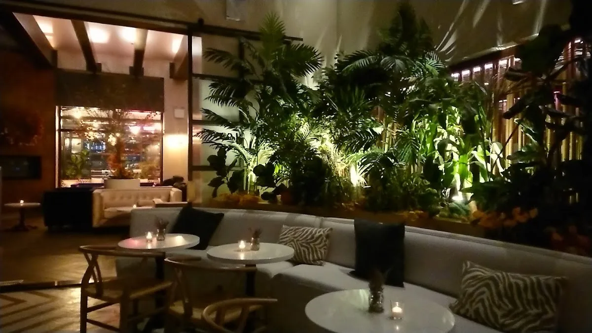 Plunge Rooftop Bar & Lounge