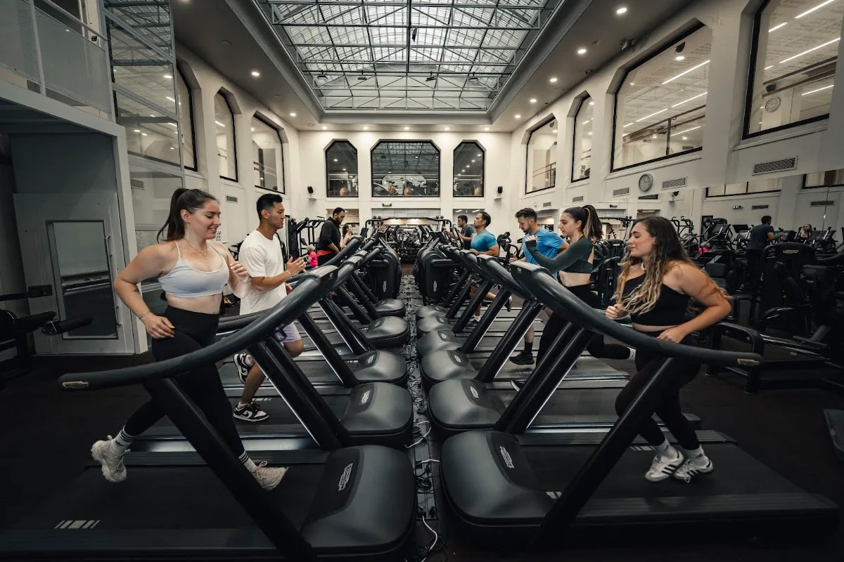Les Cercles de la forme Olympiade