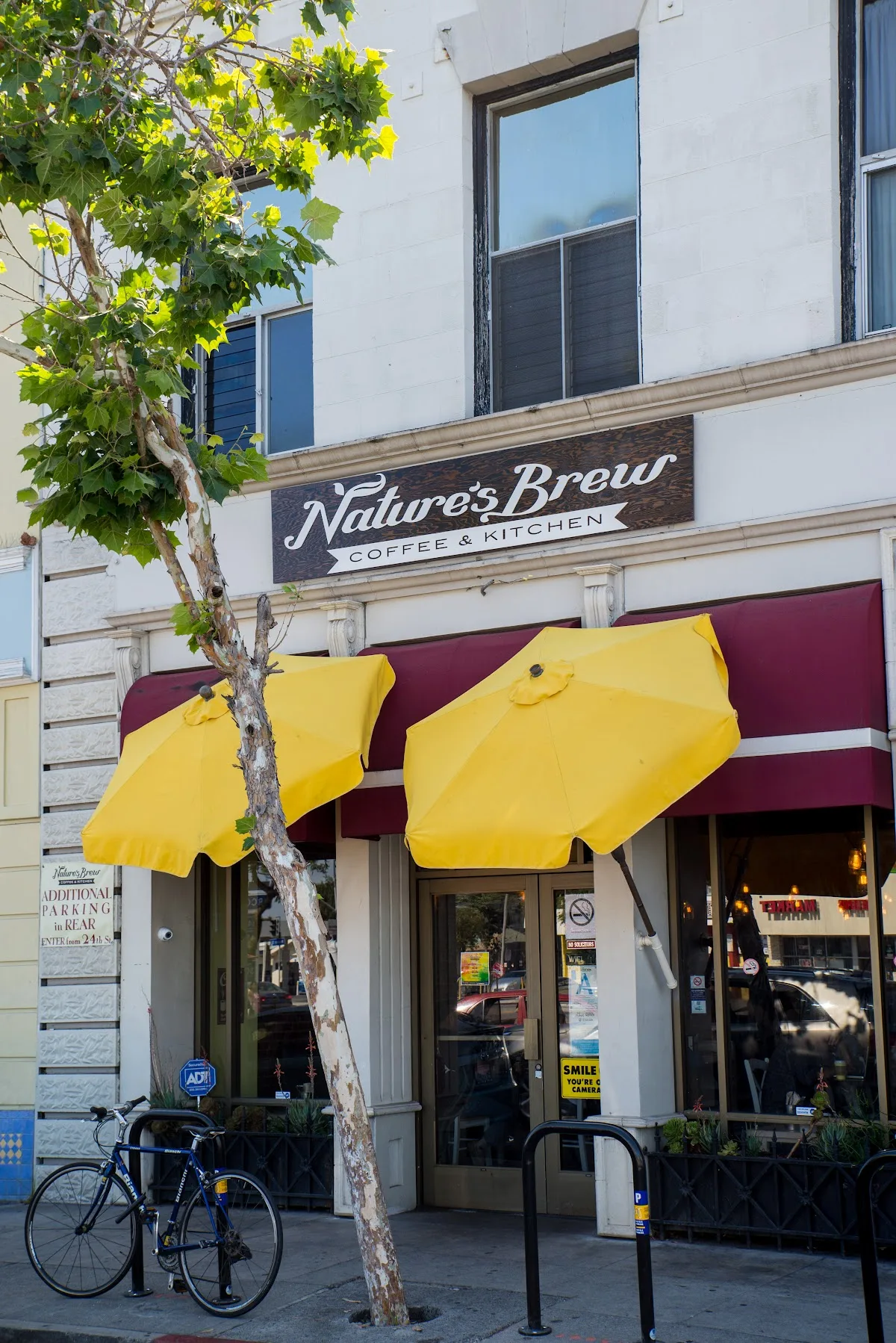 Nature's Brew by Bacari