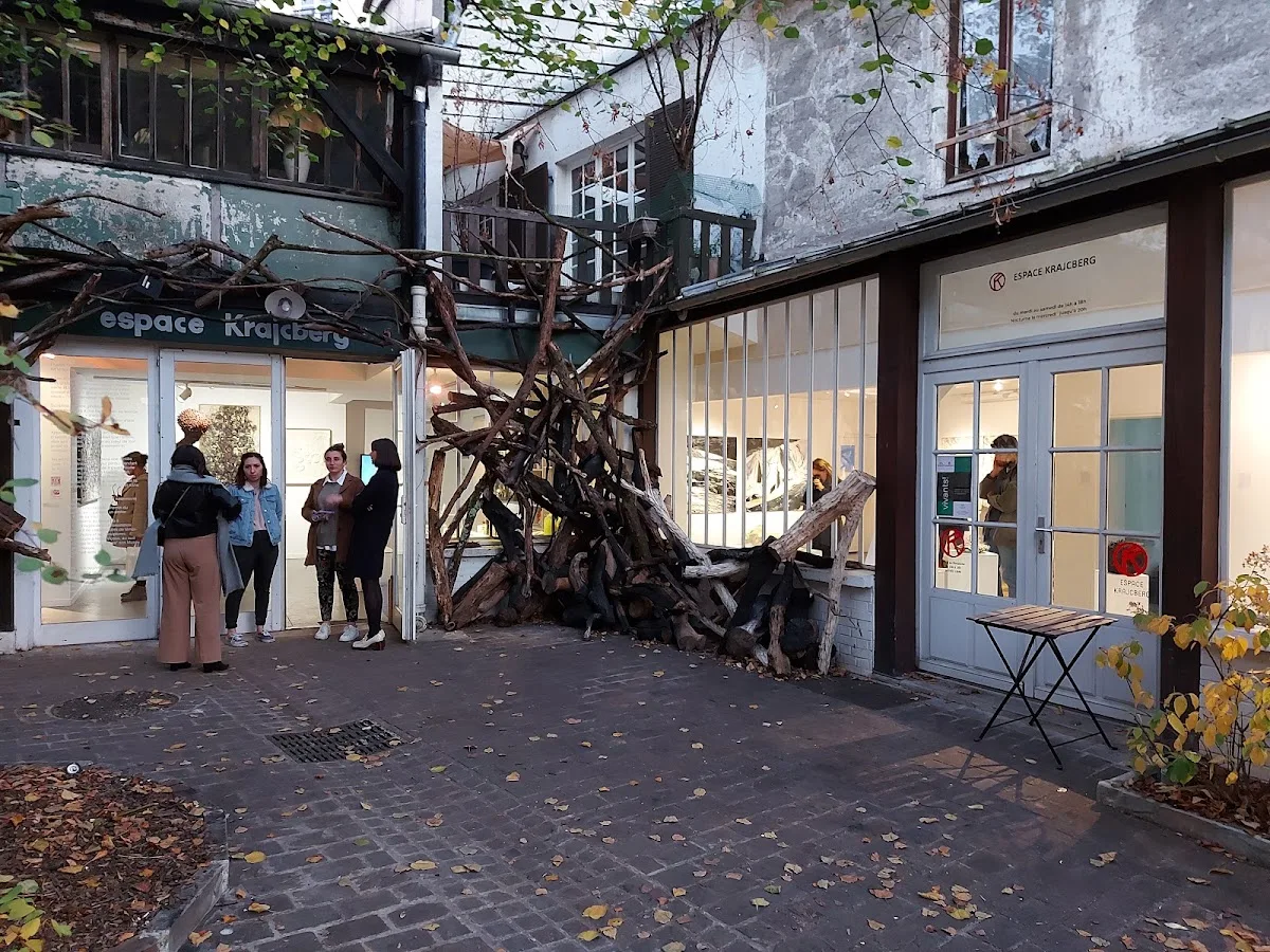 Espace Frans Krajcberg