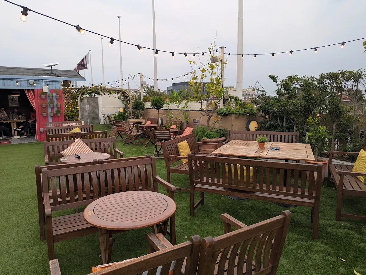 John Lewis Roof Fest