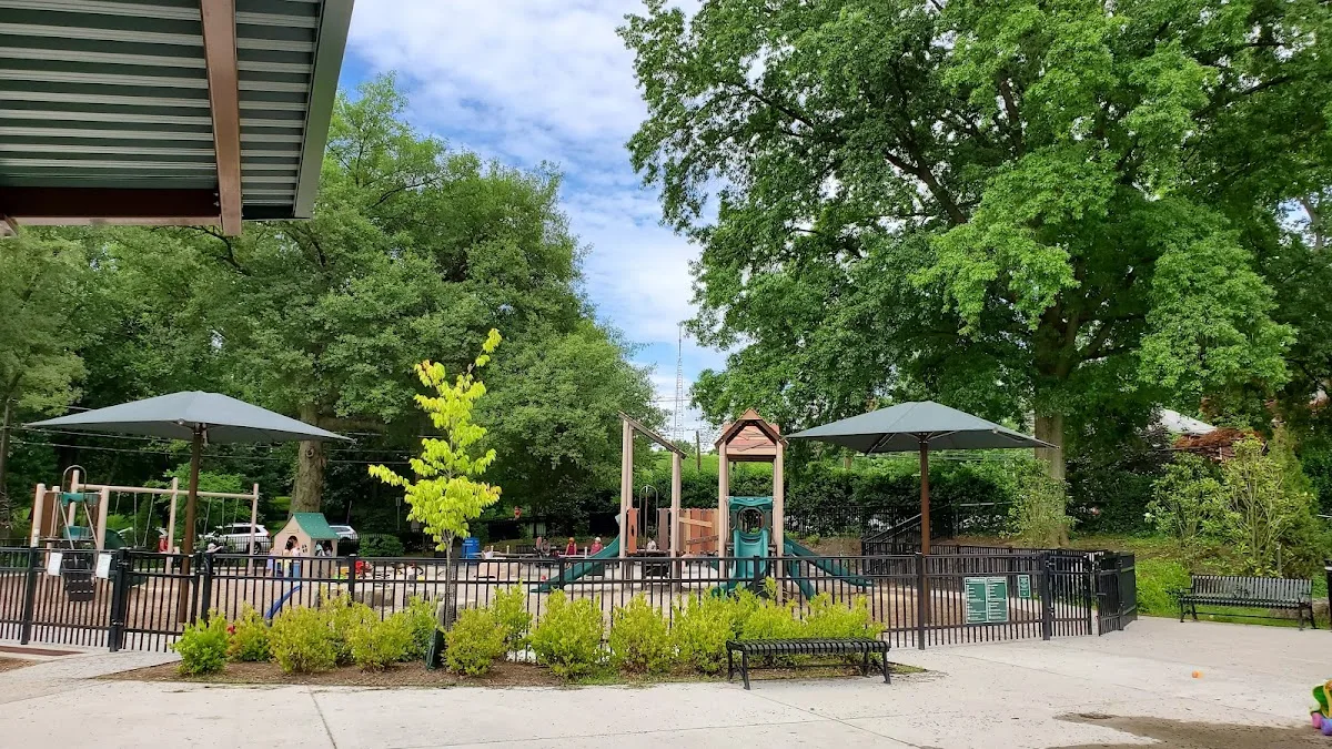 Turtle Park
