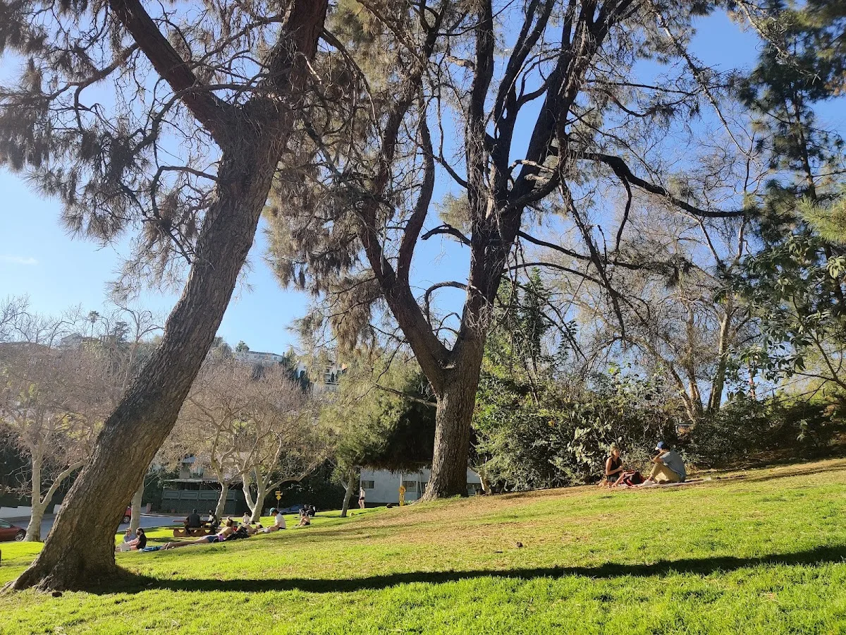 Silver Lake Grass Patch