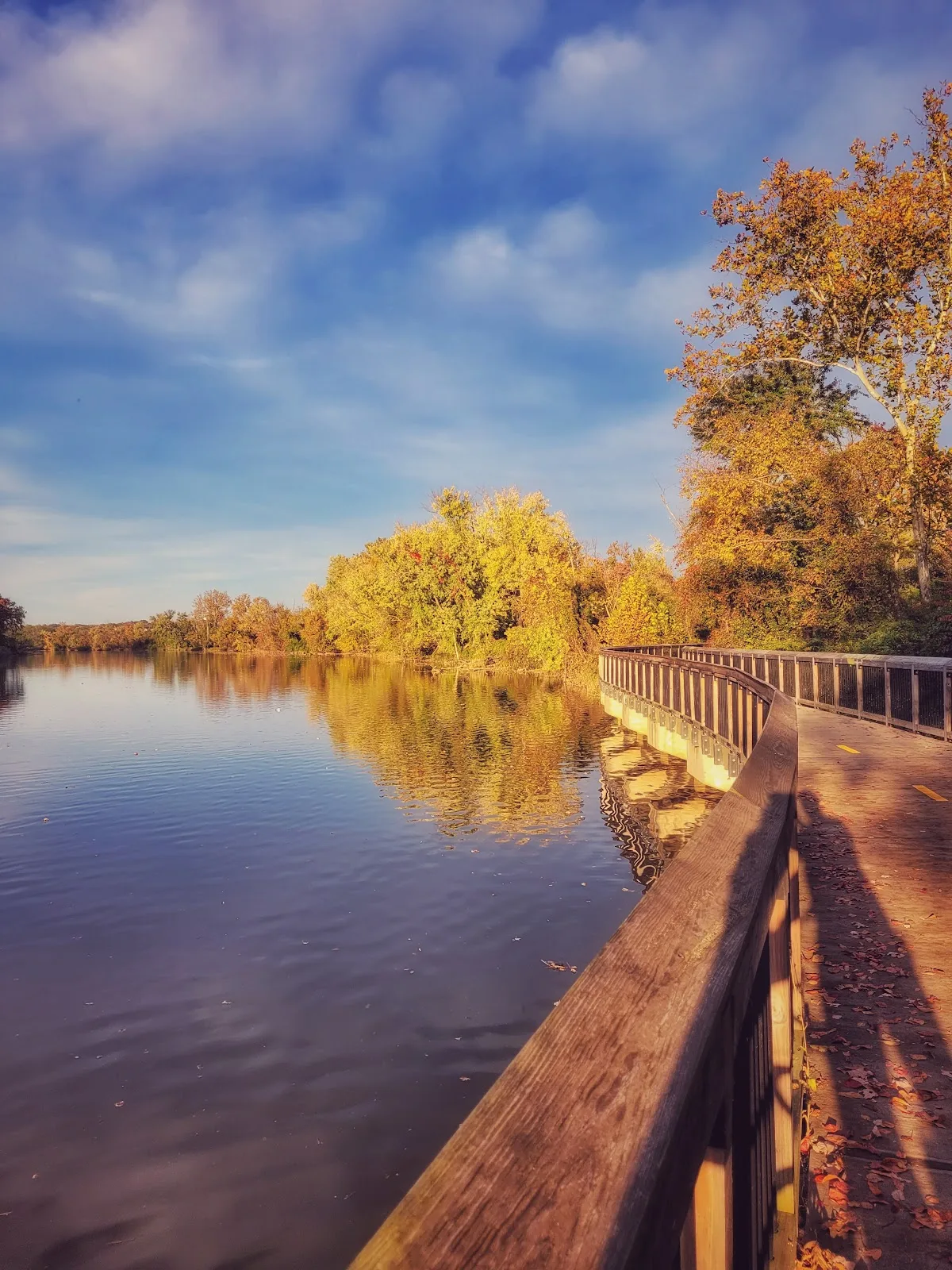 Kenilworth Park