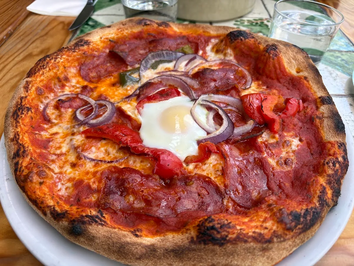 Papilla Brochant