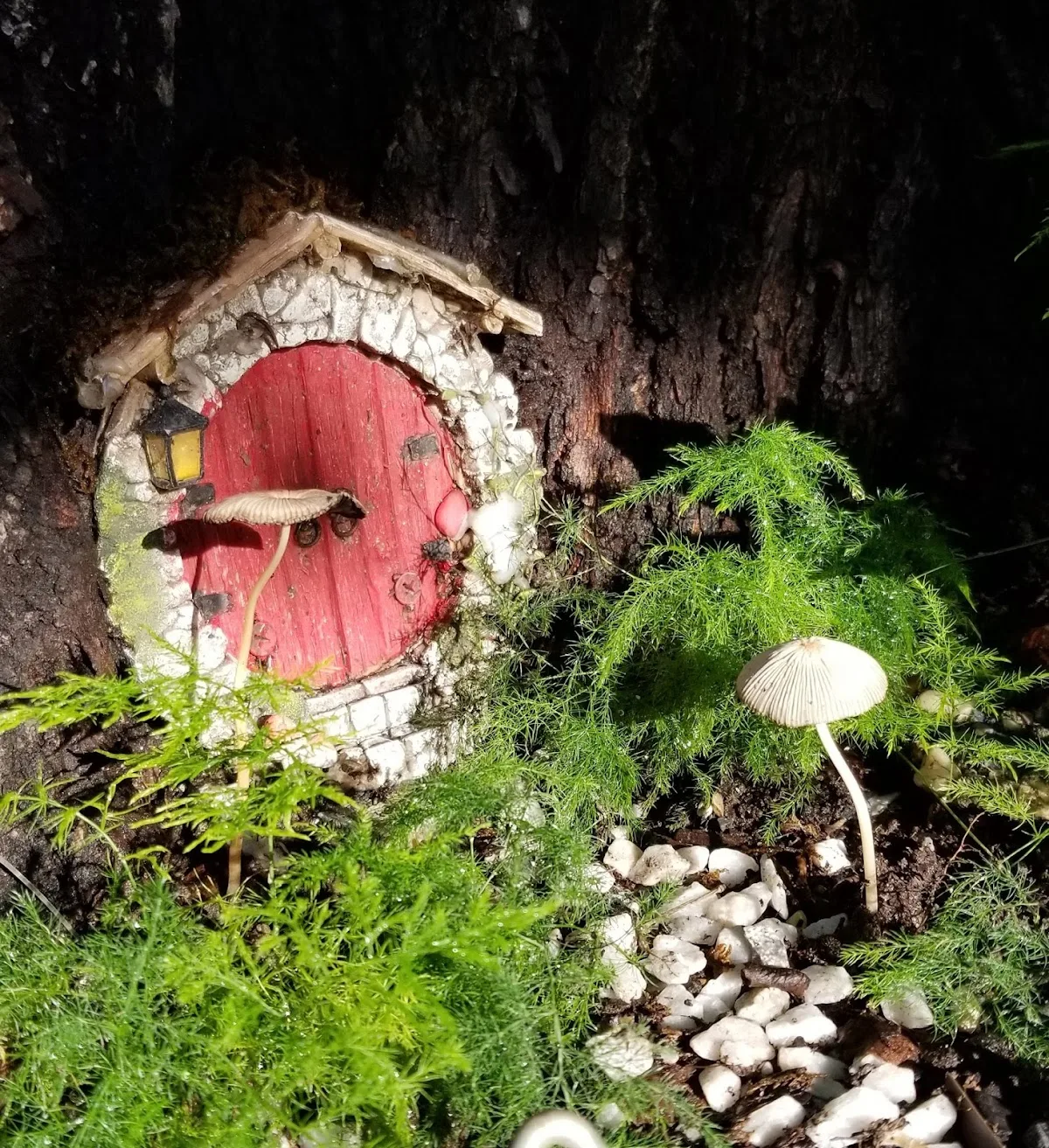 The Magic Tree Box