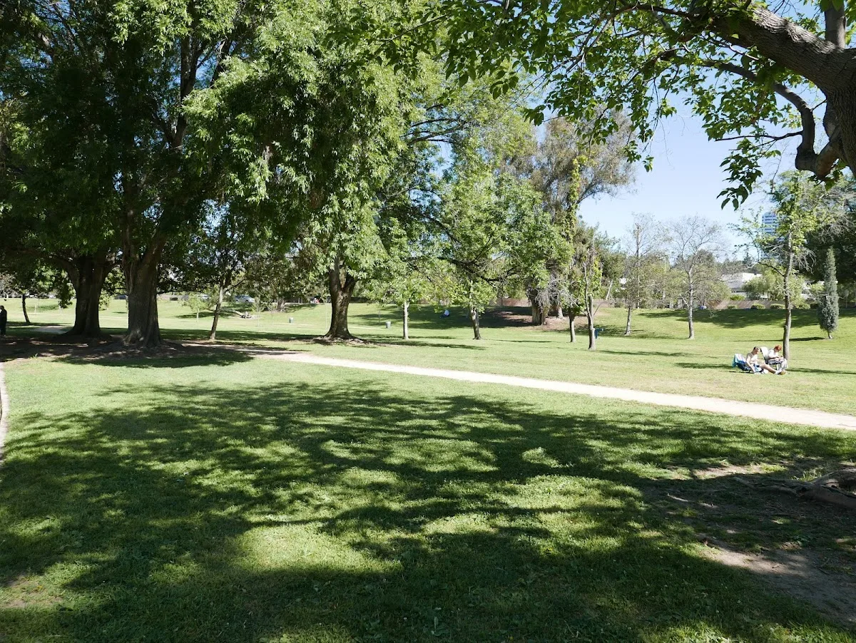 South Weddington Park